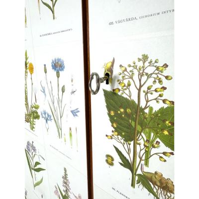 Josef Frank 1950s Swedish Cabinet With Nordens Flora Illustrations