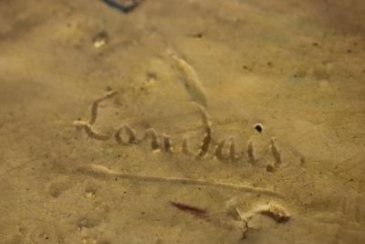 Joseph Landais Palissy Majolica Palissy Fish Platter