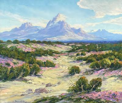 Joseph P Frey Sierra Nevada and Desert Flowers