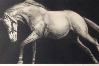 Joseph Piccillo Joseph Piccillo Edge Event I 1982 Horse Lithograph Numbered 11 45
