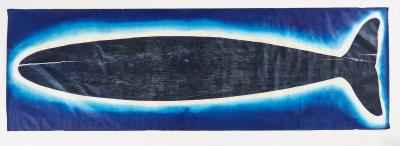 Julian Meredith Aura Cetacean