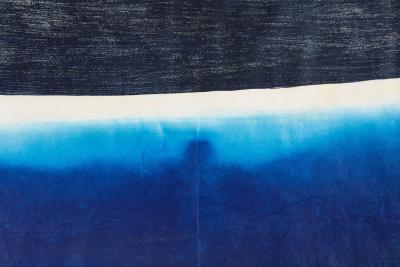 Julian Meredith Aura Cetacean