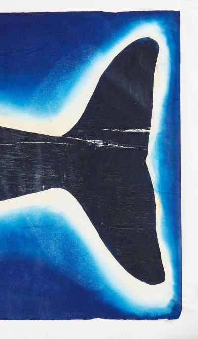 Julian Meredith Aura Cetacean