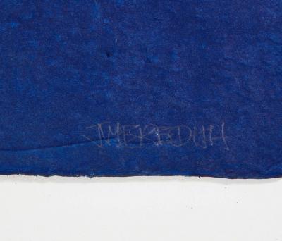 Julian Meredith Aura Cetacean