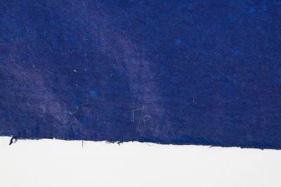 Julian Meredith Aura Cetacean