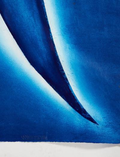 Julian Meredith Aura Tuna