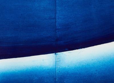 Julian Meredith Aura Tuna