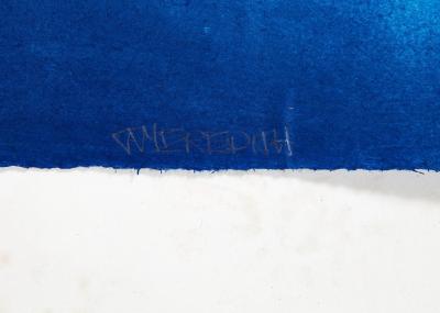 Julian Meredith Aura Tuna