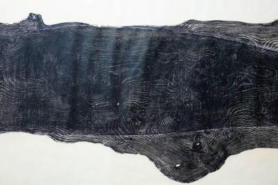 Julian Meredith Elm Cetacean