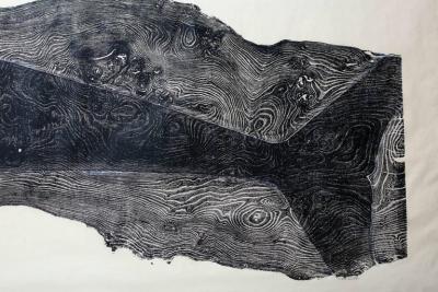 Julian Meredith Elm Cetacean