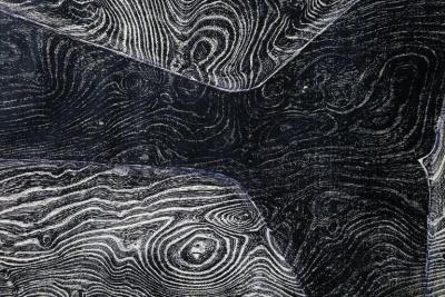 Julian Meredith Elm Cetacean