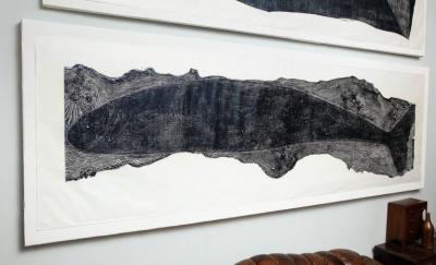 Julian Meredith Elm Cetacean