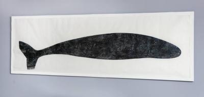 Julian Meredith Pilot Whale