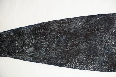 Julian Meredith Pilot Whale