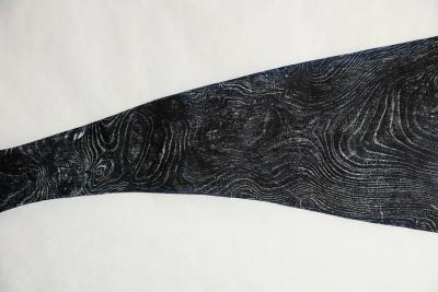 Julian Meredith Pilot Whale