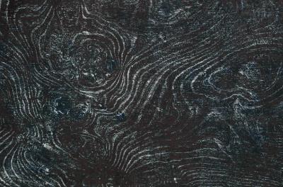 Julian Meredith Pilot Whale