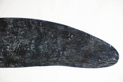 Julian Meredith Pilot Whale