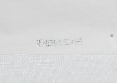 Julian Meredith Pilot Whale