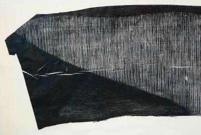 Julian Meredith Shockwave Fluke