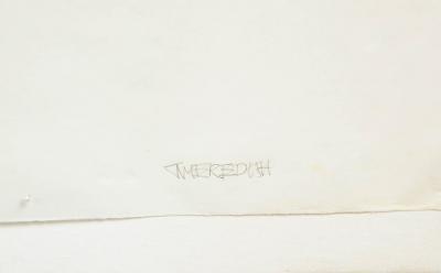 Julian Meredith Shockwave Fluke