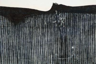 Julian Meredith Shockwave Fluke