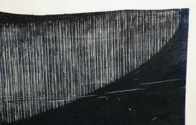 Julian Meredith Shockwave Fluke