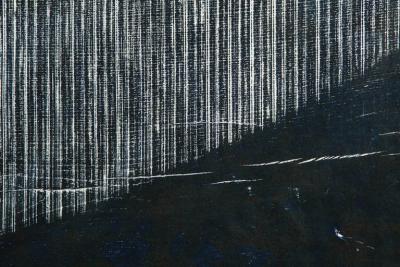 Julian Meredith Shockwave Fluke