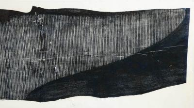 Julian Meredith Shockwave Fluke