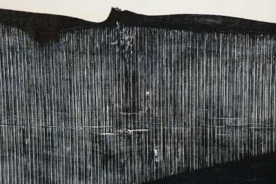 Julian Meredith Shockwave Fluke