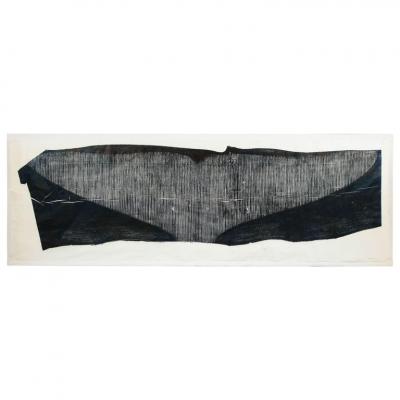 Julian Meredith Shockwave Fluke