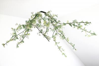 Julie Percillier Aub pine