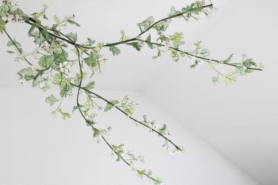 Julie Percillier Aub pine