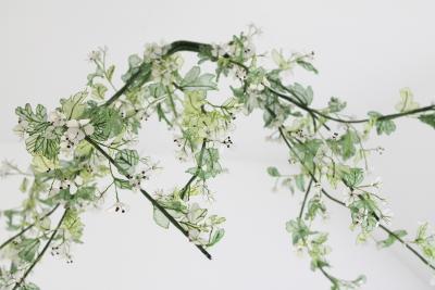 Julie Percillier Aub pine