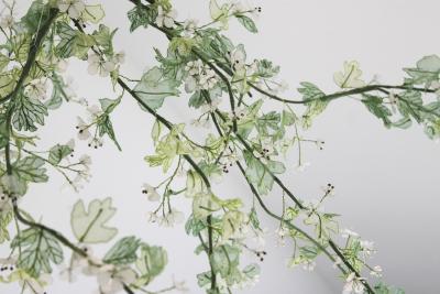 Julie Percillier Aub pine