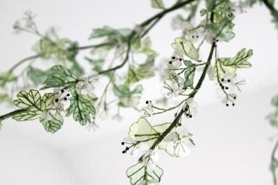 Julie Percillier Aub pine