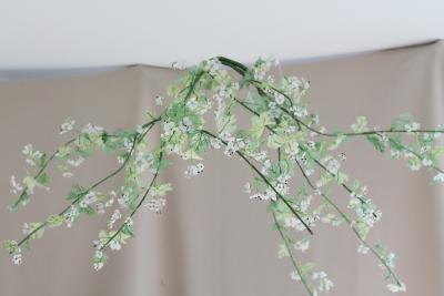 Julie Percillier Aub pine