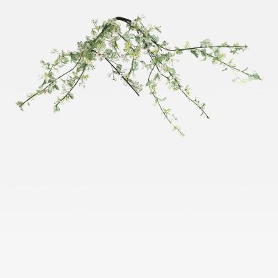 Julie Percillier Aub pine