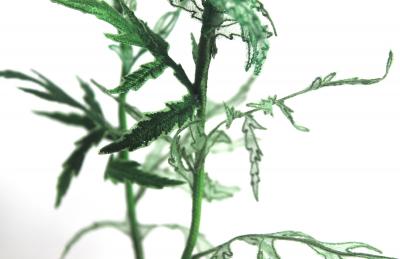 Julie Percillier Coquelicot