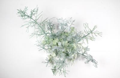 Julie Percillier Jardin d hiver