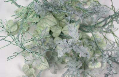 Julie Percillier Jardin d hiver