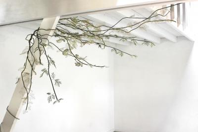 Julie Percillier Lianes