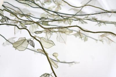 Julie Percillier Lianes