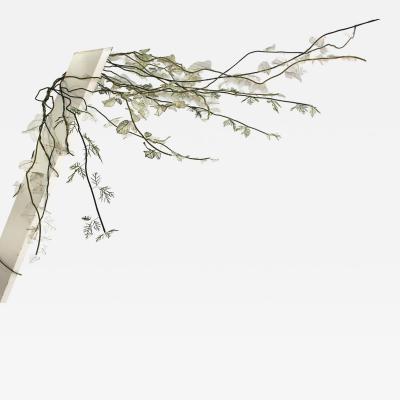 Julie Percillier Lianes