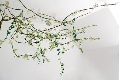 Julie Percillier Lierre