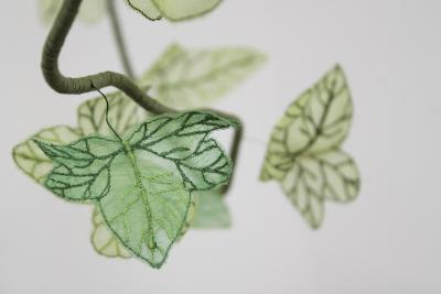 Julie Percillier Lierre