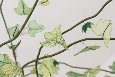 Julie Percillier Lierre