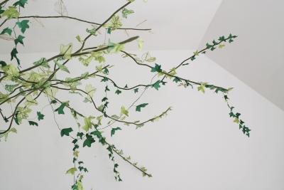 Julie Percillier Lierre