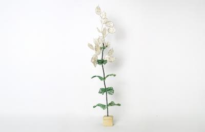 Julie Percillier Monnaie du pape