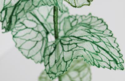 Julie Percillier Monnaie du pape