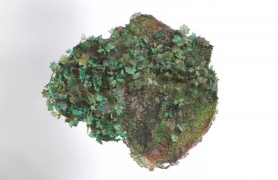 Julie Percillier Mousse verdoyante